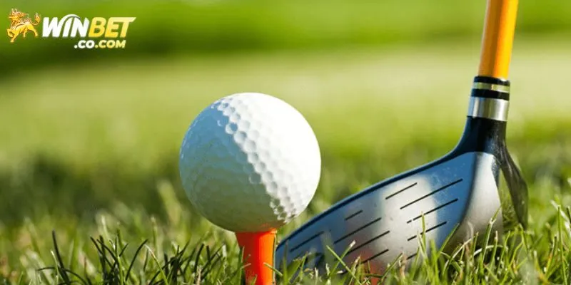 Tổng hợp các hình thức cá cược golf hấp dẫn