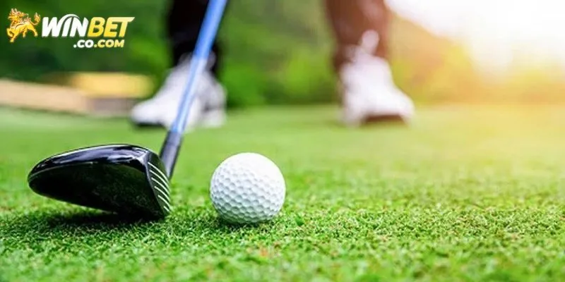 Giới thiệu vài nét về cá cược golf