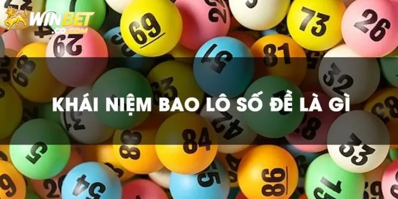 Khái niệm cơ bản bao lô là gì?