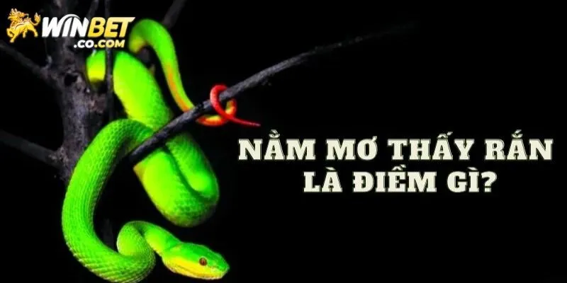 Rắn tấn công người thân